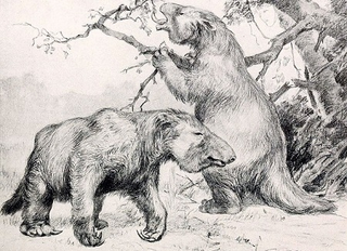 Illustration for article titled Top 10 Prehistoric Mammals That Were Way Cooler Than Dinosaurs